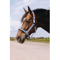 Licol nylon Equithème Jacquard Bleu ciel