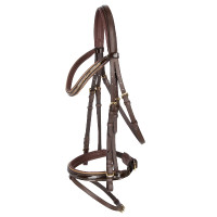 Bridon Kingston Covalliero Bruin