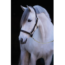 Licol cuir Eco Covalliero Marron