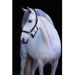 Licol cuir Eco Covalliero Noir