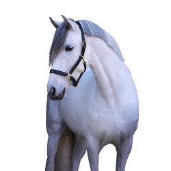 Licol cuir Eco Covalliero Noir