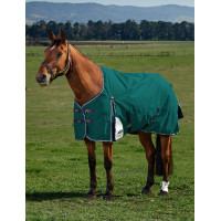 Couverture Weatherbeeta ComFiTec Plus Dynamic Turnout 220g Vert forêt / marine Couverture Weatherbeeta ComFiTec Plus Dynamic Turnout 220g Vert forêt / marine