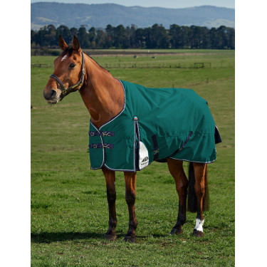 Couverture Weatherbeeta ComFiTec Plus Dynamic Turnout 220g Vert forêt / marine Couverture Weatherbeeta ComFiTec Plus Dynamic Turnout 220g Vert forêt / marine