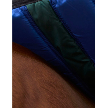 Couverture Weatherbeeta ComFiTec Plus Dynamic Turnout 220g Vert forêt / marine Couverture Weatherbeeta ComFiTec Plus Dynamic Turnout 220g Vert forêt / marine