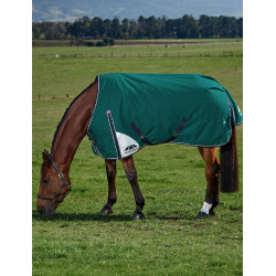Couverture Weatherbeeta ComFiTec Plus Dynamic Turnout 220g Vert forêt / marine Couverture Weatherbeeta ComFiTec Plus Dynamic Turnout 220g Vert forêt / marine