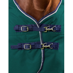 Couverture Weatherbeeta ComFiTec Plus Dynamic Turnout 220g Vert forêt / marine Couverture Weatherbeeta ComFiTec Plus Dynamic Turnout 220g Vert forêt / marine