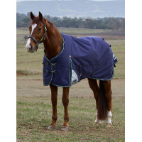Couverture Weatherbeeta ComFiTec Plus Dynamic Turnout 220g Marine / vert forêt Bleu