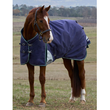 Couverture Weatherbeeta ComFiTec Plus Dynamic Turnout 220g Marine / vert forêt Bleu