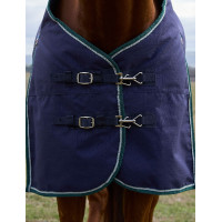 Couverture Weatherbeeta ComFiTec Plus Dynamic Turnout 220g Marine / vert forêt Bleu