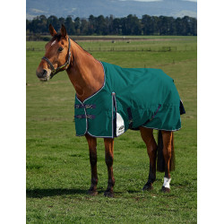 Couverture Weatherbeeta ComFiTec Plus Dynamic Turnout 100g Vert forêt / marine