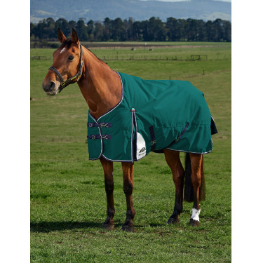 Couverture Weatherbeeta ComFiTec Plus Dynamic Turnout 100g Vert forêt / marine Couverture Weatherbeeta ComFiTec Plus Dynamic Turnout 100g Vert forêt / marine