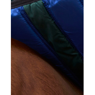 Deken Weatherbeeta ComFiTec Plus Dynamic Turnout 100 g Bosgroen / marineblauw Deken Weatherbeeta ComFiTec Plus Dynamic Turnout 100 g Bosgroen / marineblauw