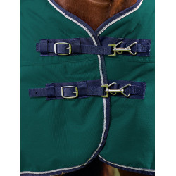 Couverture Weatherbeeta ComFiTec Plus Dynamic Turnout 100g Vert forêt / marine Couverture Weatherbeeta ComFiTec Plus Dynamic Turnout 100g Vert forêt / marine