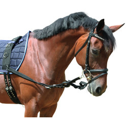 Enrênement élastique Covalliero Enrênement élastique Covalliero