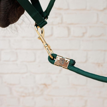 Longe Rope Basic Kentucky Vert sapin Longe Rope Basic Kentucky Vert sapin