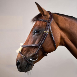 Bridon Muserolle Croisée Tressée D Collection Dy'on Marron Bridon Muserolle Croisée Tressée D Collection Dy'on Marron