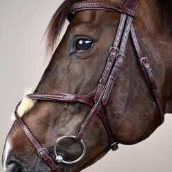 Bridon Muserolle Croisée Tressée New English Collection Dy'on Marron Bridon Muserolle Croisée Tressée New English Collection Dy'on Marron