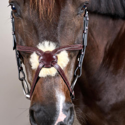 Bridon Muserolle Croisée Tressée New English Collection Dy'on Marron Bridon Muserolle Croisée Tressée New English Collection Dy'on Marron