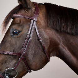 Bridon Muserolle Croisée Tressée New English Collection Dy'on Marron Bridon Muserolle Croisée Tressée New English Collection Dy'on Marron