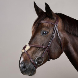 Bridon Muserolle Croisée Tressée New English Collection Dy'on Marron Bridon Muserolle Croisée Tressée New English Collection Dy'on Marron