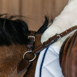 Collier de chasse 5 points avec élastiques New English Collection Dy'on Marron