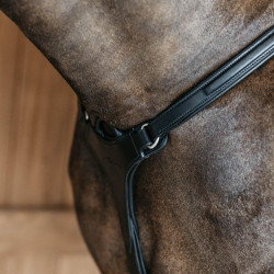 Borsttuig met 5 punten met elastieken New English Collection Dy'on Zwart