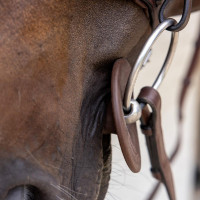 Siliconen bitringen Grooming Deluxe van Kentucky Bruin