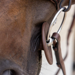 Siliconen bitringen Grooming Deluxe van Kentucky Bruin