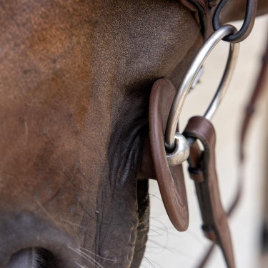 Siliconen bitringen Grooming Deluxe van Kentucky Bruin