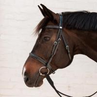 Bridon Hunter Dy'on Noir Bridon Hunter Dy'on Noir