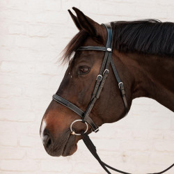 Bridon Hunter Dy'on Noir Bridon Hunter Dy'on Noir