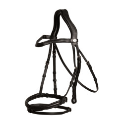 Bridon Muserolle Combinée Dy'on en Cuir Souple Noir