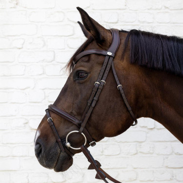 Dy'on gecombineerde neusriem hoofdstel van soepel leer Bruin Dy'on gecombineerde neusriem hoofdstel van soepel leer Bruin