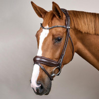 Bridon Muserolle Large Cuir Souple Dy'on Marron Bridon Muserolle Large Cuir Souple Dy'on Marron