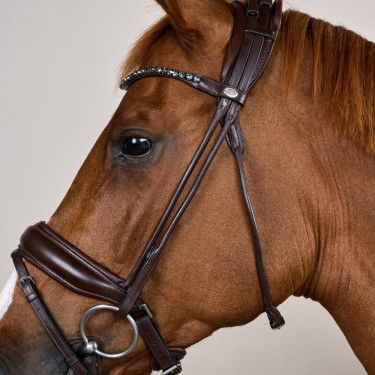 Bridon Muserolle Large Cuir Souple Dy'on Marron