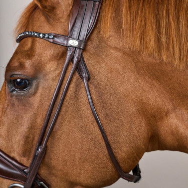 Trens met brede neusriem van soepel leer Dy'on Bruin