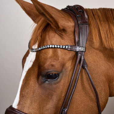 Trens met brede neusriem van soepel leer Dy'on Bruin