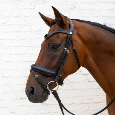 Dy'on hoofdstel met middelharde neusriem van soepel leer Zwart Dy'on hoofdstel met middelharde neusriem van soepel leer Zwart