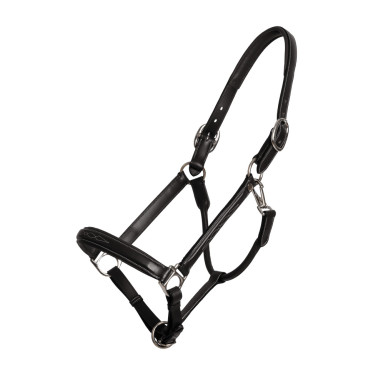 Fancy halster Dy'on Zwart