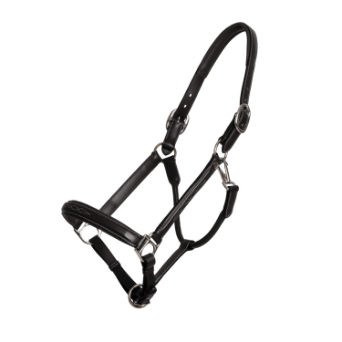 Fancy halster Dy'on Zwart Fancy halster Dy'on Zwart