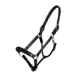 Licol Fancy Dy'on Noir