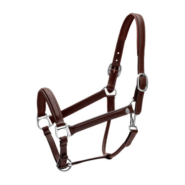 Licol Fancy Dy'on Marron