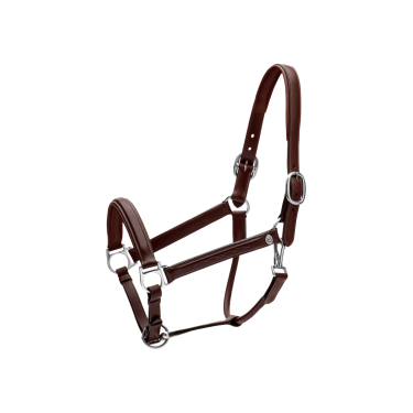 Licol Fancy Dy'on Marron