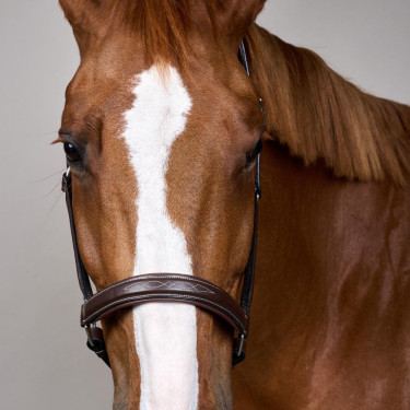 Licol Fancy Dy'on Marron