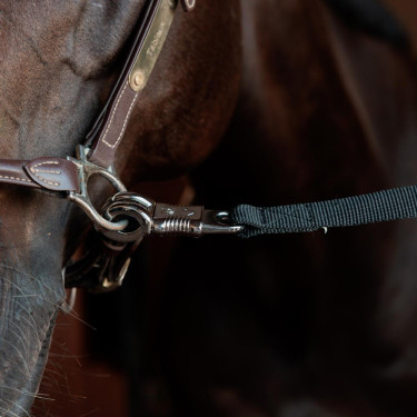 Kentucky veiligheidsvastzetlijn Zwart