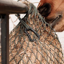 Aluminium Veiligheidskarabijnhaak Grooming Deluxe van Kentucky Zwart