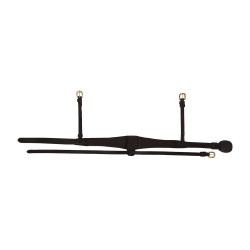 Anatomische speciale FEI-neusriem Dy'on Zwart Anatomische speciale FEI-neusriem Dy'on Zwart