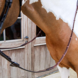 Rênes Caoutchouc Dy'on 1/2 avec 7 arrêtoirs intégrés Marron Rênes Caoutchouc Dy'on 1/2 avec 7 arrêtoirs intégrés Marron
