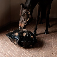 Sac à Foin Play & Slowfeeder Rond Grooming Deluxe by Kentucky Noir Sac à Foin Play & Slowfeeder Rond Grooming Deluxe by Kentucky Noir