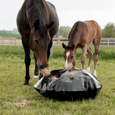 Sac à Foin Play & Slowfeeder Rond Grooming Deluxe by Kentucky Noir Sac à Foin Play & Slowfeeder Rond Grooming Deluxe by Kentucky Noir